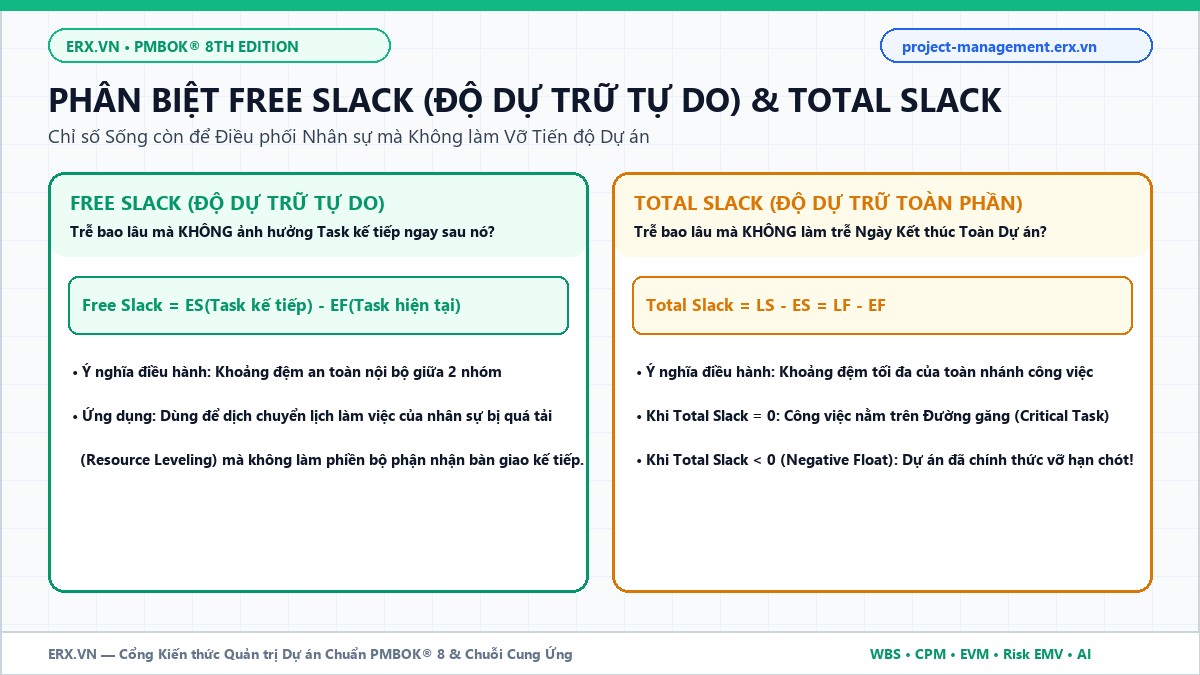 Phân biệt Free Slack và Total Slack trong phương pháp đường găng CPM chuẩn PMBOK 8